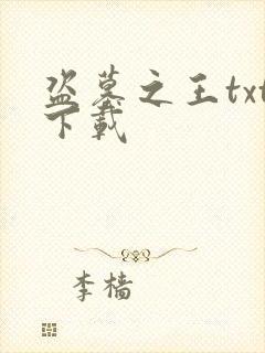 盗墓之王txt下载