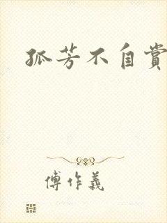 孤芳不自赏小说