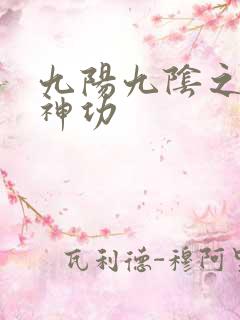 九阳九阴之阴阳神功