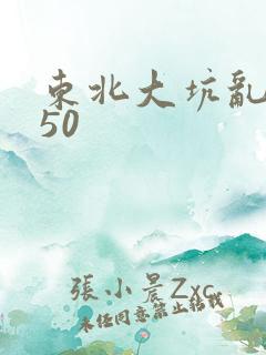 东北大坑乱1—50