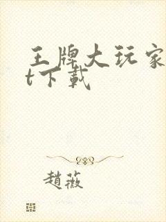 王牌大玩家txt下载