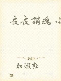 夜夜销魂 小说