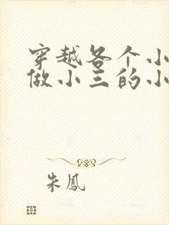 穿越各个小世界做小三的小说