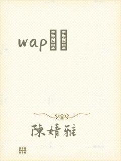 wapС˵
