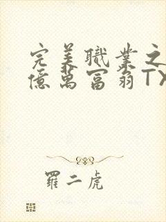 完美职业之我是亿万富翁TXT