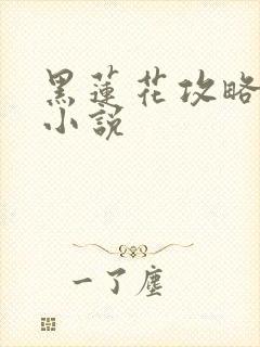 黑莲花攻略手册小说