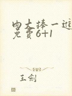 肉大捧一进一出免费6+1
