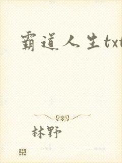 霸道人生txt