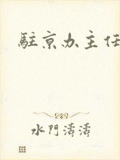 驻京办主任对手