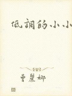 低调的小小宫女