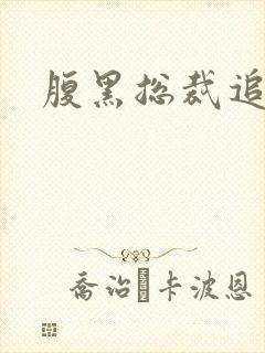 腹黑总裁追娇妻