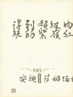 得到超级肉禽系统的紫岭红山