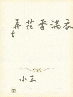 弄花香满衣txt