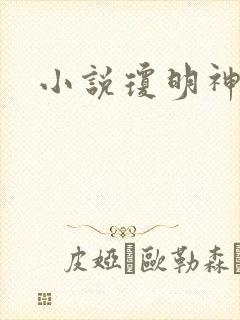 小说琼明神女录