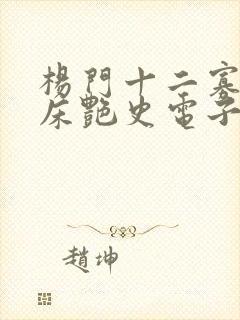 杨门十二寡妇肉床艳史电子书