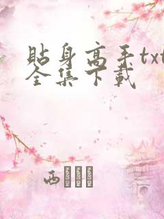 贴身高手txt全集下载