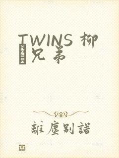 TWINS 柳澤兄弟