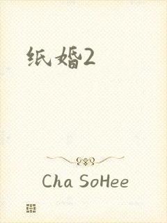 纸婚2