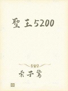 圣王5200