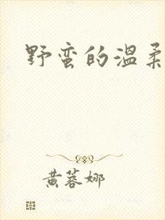 野蛮的温柔