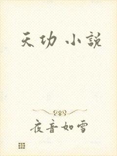 天功 小说