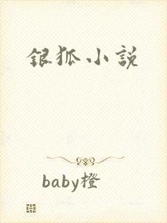 银狐小说
