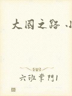 大国之路 小说