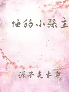他的小县主