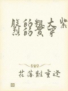 朕的粗大紫红猛烈的贯穿