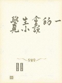 学生会的一己之见小说