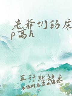 老爷们的床奴np高h