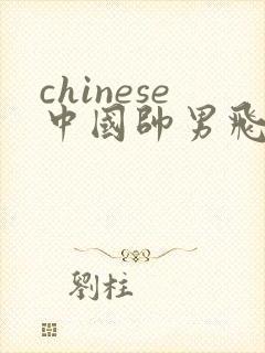 chinese中国帅男飞机