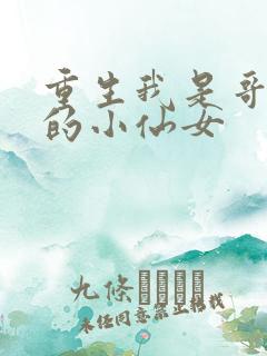 重生我是哥哥们的小仙女