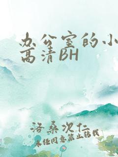 办公室的小秘书高清BH