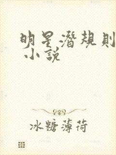 明星潜规则之皇 小说