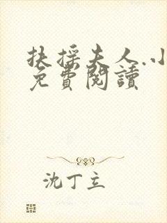 扶摇夫人.小说免费阅读