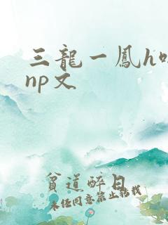 三龙一凤h啪肉np文