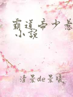 霸道帝少惹不得 小说