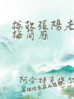 总政张阳老婆吕梅简历