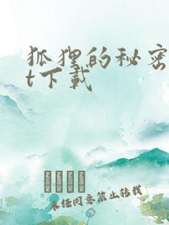 狐狸的秘密txt下载