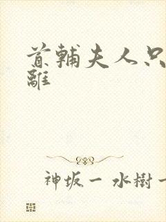 首辅夫人只想和离