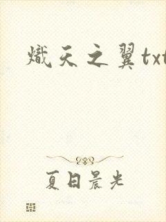 炽天之翼txt