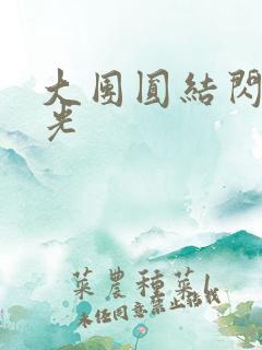 大团圆结闪闪发光