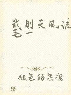 武则天风流艳情毛一