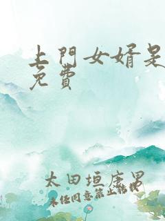 上门女婿是锦鲤免费