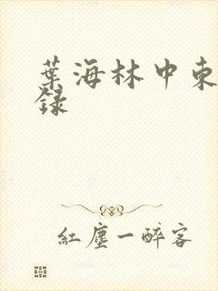 叶海林中东风云录