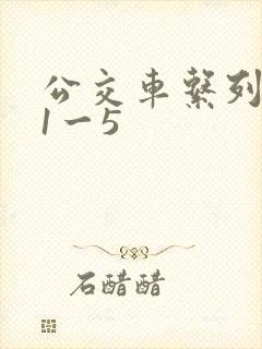 公交车系列合集1一5