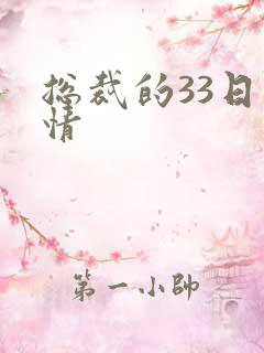 总裁的33日索情