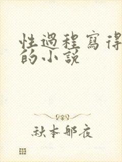 性过程写得详细的小说