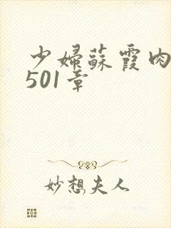 少妇苏霞肉欲第501章